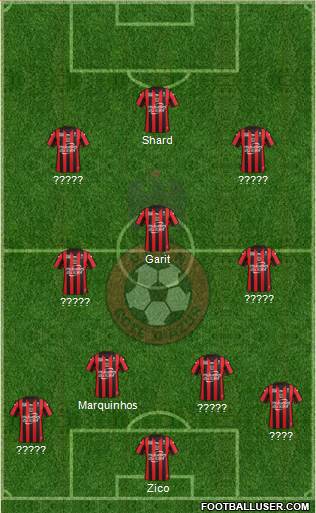 OGC Nice Côte d'Azur Formation 2016