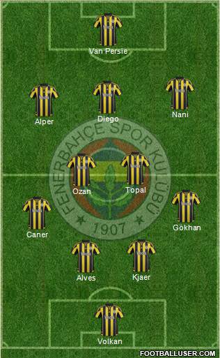 Fenerbahçe SK Formation 2016