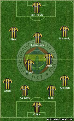Fenerbahçe SK Formation 2016
