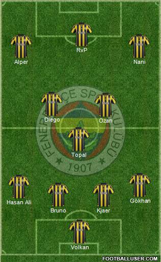 Fenerbahçe SK Formation 2016