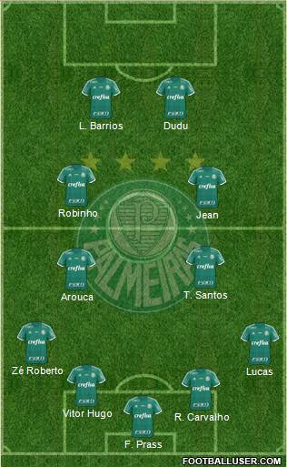 SE Palmeiras Formation 2016