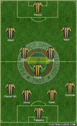 Fenerbahçe SK Formation 2016