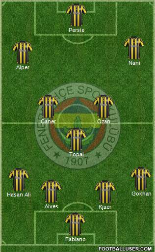 Fenerbahçe SK Formation 2016