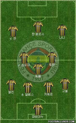 Fenerbahçe SK Formation 2016