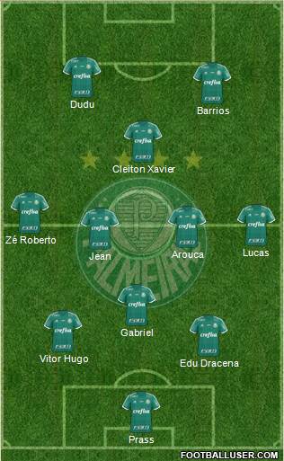 SE Palmeiras Formation 2016