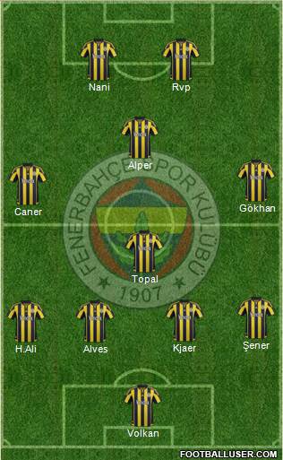 Fenerbahçe SK Formation 2016