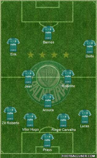 SE Palmeiras Formation 2016