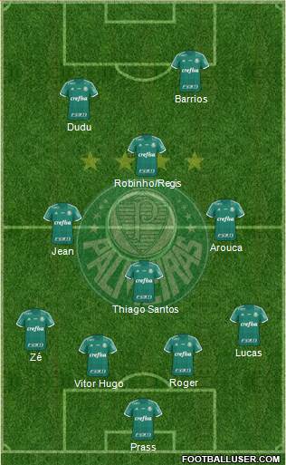 SE Palmeiras Formation 2016