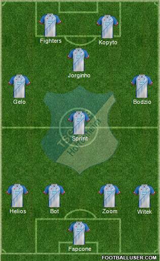 TSG 1899 Hoffenheim Formation 2016