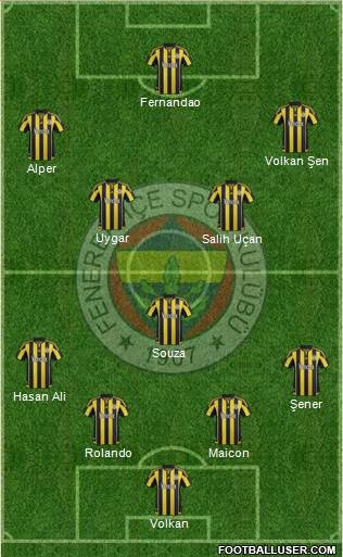 Fenerbahçe SK Formation 2016