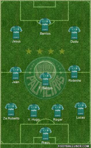 SE Palmeiras Formation 2016