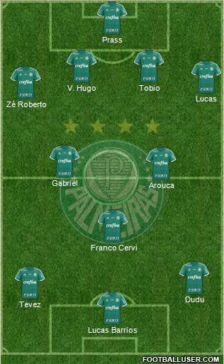 SE Palmeiras Formation 2016