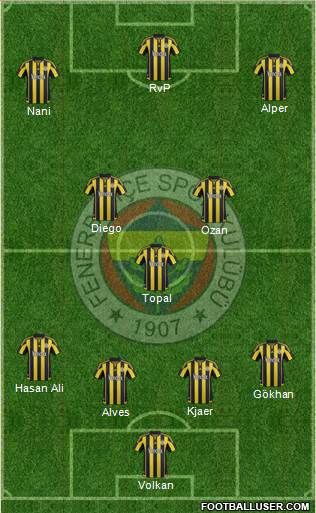Fenerbahçe SK Formation 2016