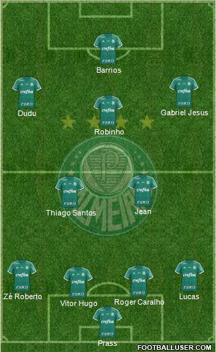 SE Palmeiras Formation 2016