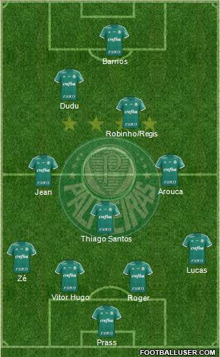 SE Palmeiras Formation 2016