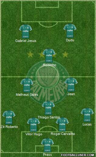 SE Palmeiras Formation 2016