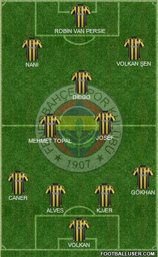 Fenerbahçe SK Formation 2016