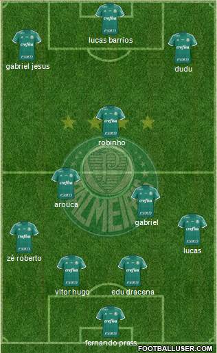 SE Palmeiras Formation 2016