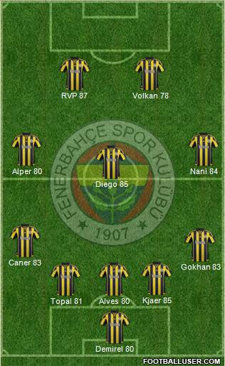 Fenerbahçe SK Formation 2016