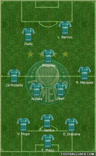 SE Palmeiras Formation 2016