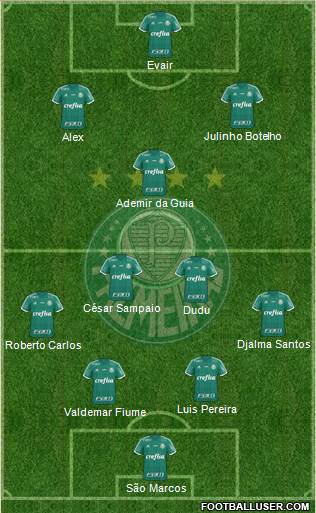 SE Palmeiras Formation 2016
