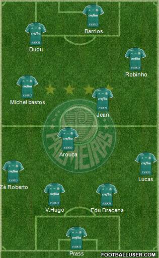 SE Palmeiras Formation 2016
