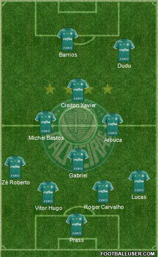 SE Palmeiras Formation 2016