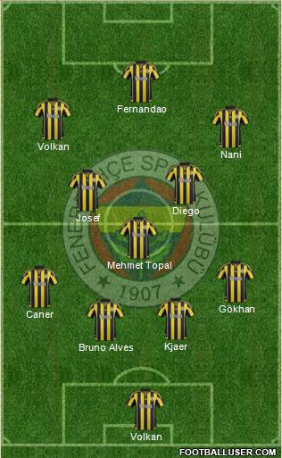 Fenerbahçe SK Formation 2016