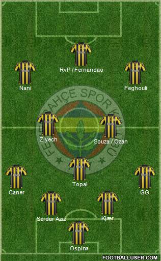 Fenerbahçe SK Formation 2016