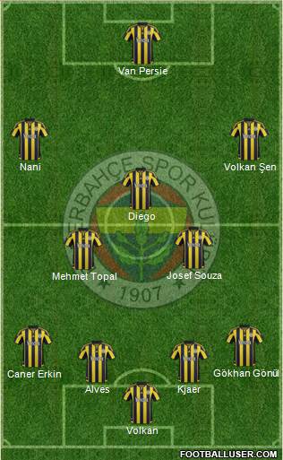 Fenerbahçe SK Formation 2016