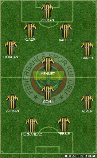 Fenerbahçe SK Formation 2016