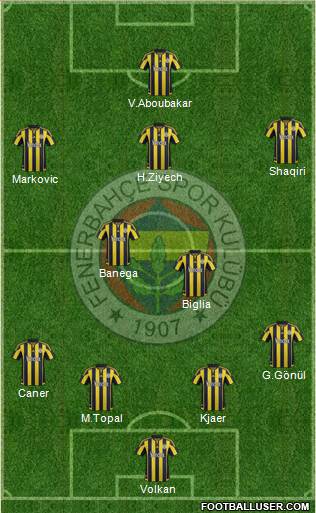 Fenerbahçe SK Formation 2016
