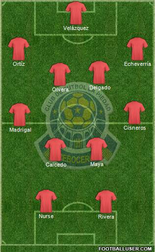 Club de Fútbol La Piedad Formation 2016