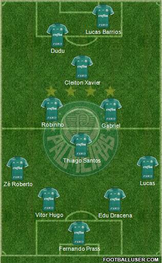 SE Palmeiras Formation 2016