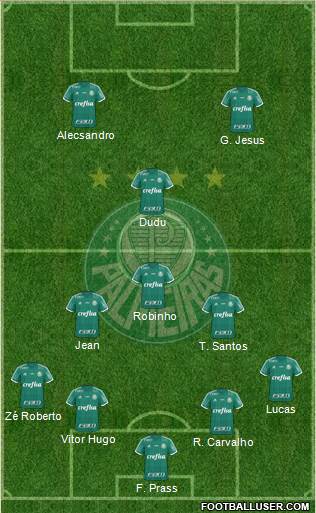 SE Palmeiras Formation 2016