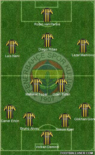 Fenerbahçe SK Formation 2016