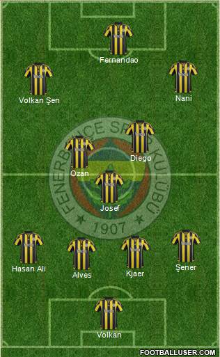 Fenerbahçe SK Formation 2016