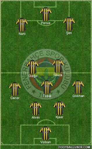 Fenerbahçe SK Formation 2016