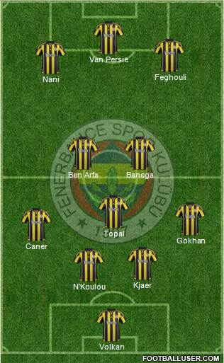 Fenerbahçe SK Formation 2016
