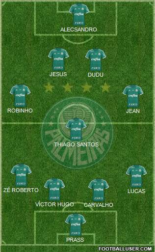 SE Palmeiras Formation 2016