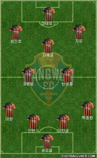 Gangwon FC Formation 2016