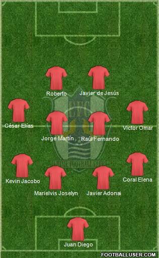 Ehime FC Formation 2016