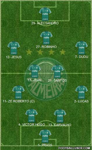 SE Palmeiras Formation 2016