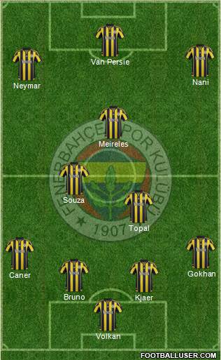 Fenerbahçe SK Formation 2016