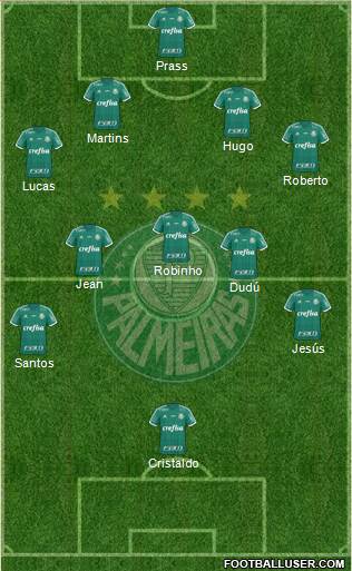 SE Palmeiras Formation 2016