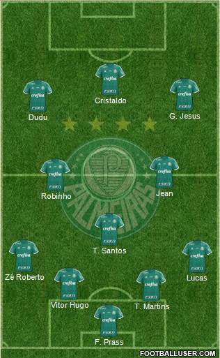 SE Palmeiras Formation 2016