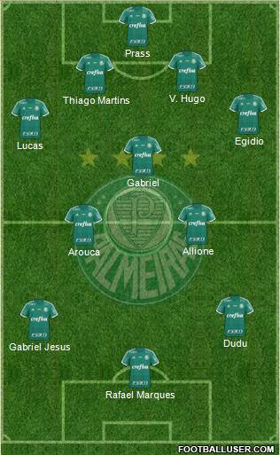 SE Palmeiras Formation 2016