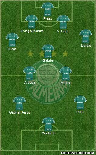 SE Palmeiras Formation 2016
