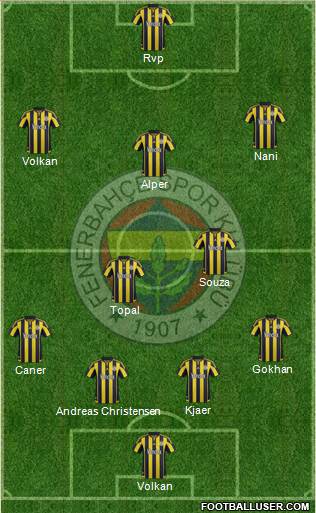 Fenerbahçe SK Formation 2016