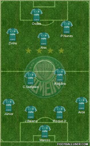 SE Palmeiras Formation 2016